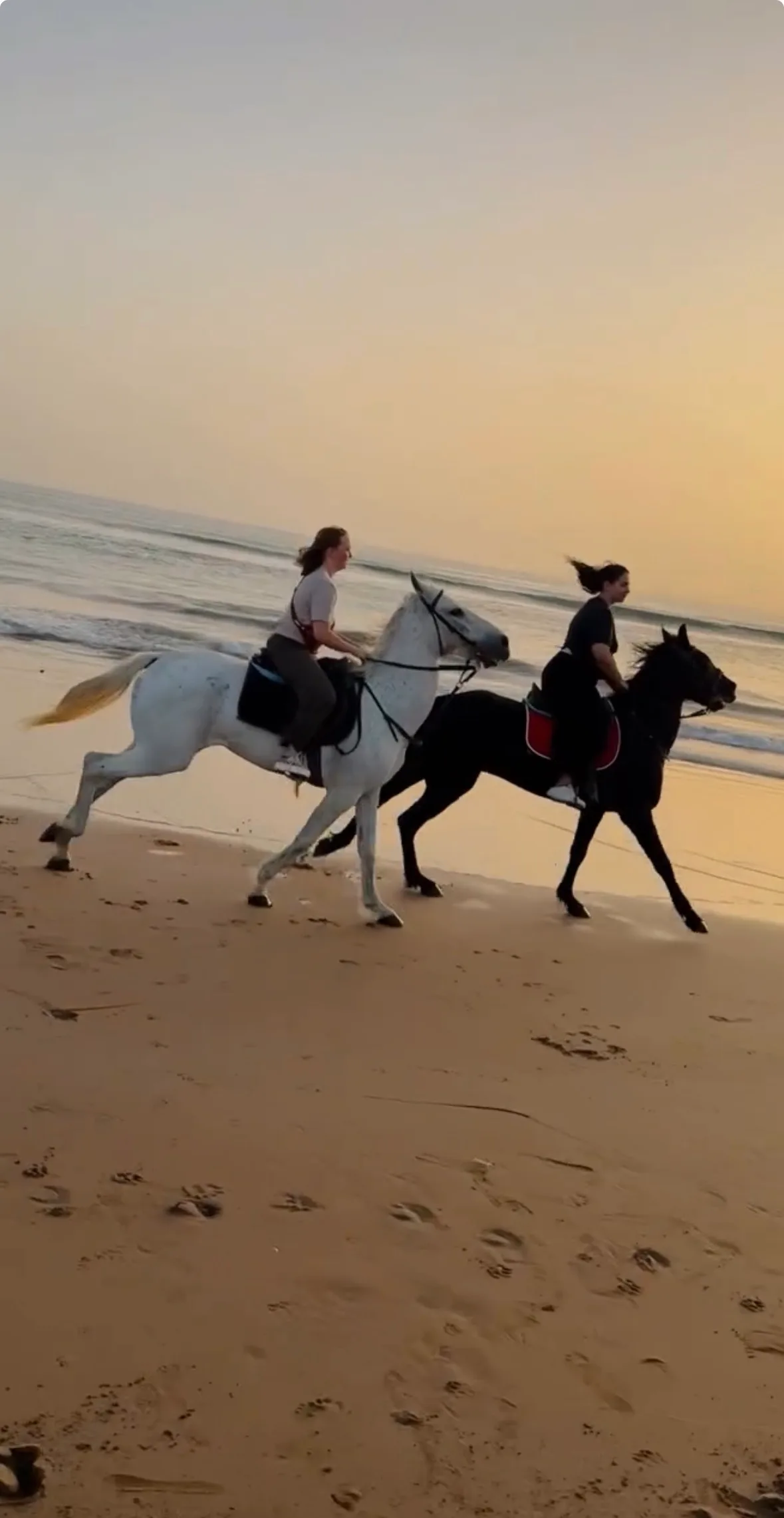 Explore the city with us by riding a horse