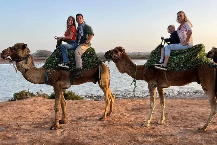 Camelback riding in Agadir